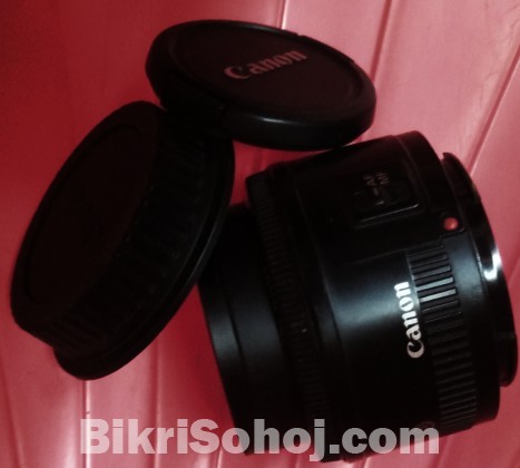 Canon 50mm f1.4 stm prime lens